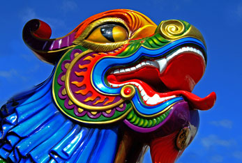 Health & Culture Asia