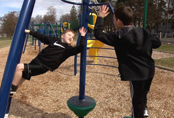 Having in the parks