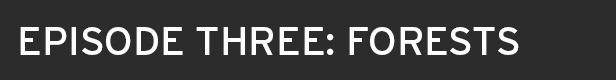 EARTH_Header_Forests.jpg