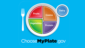 Fruits. Grains. Vegetables. Protein. Dairy. ChooseMyPlate.gov