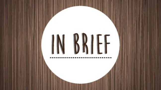 inBrief.jpg