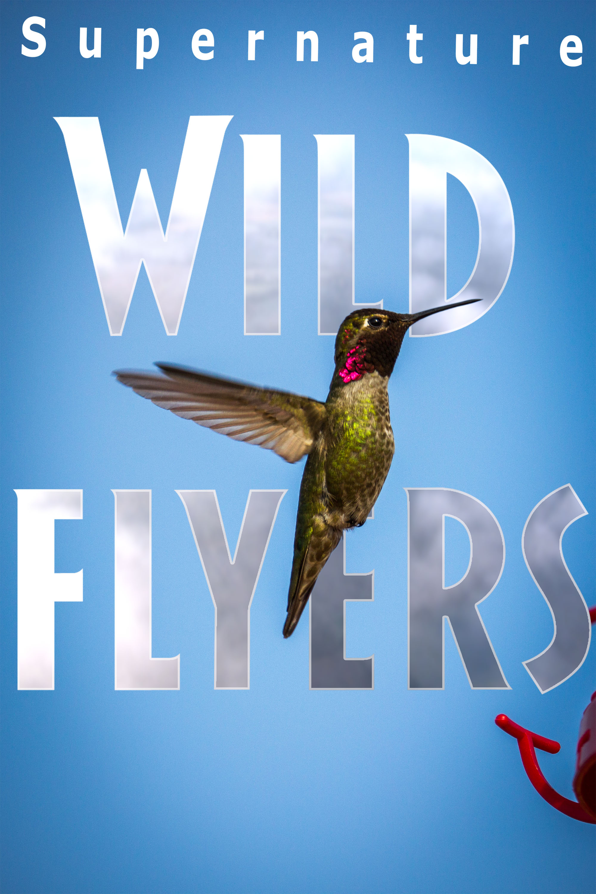 earths natural wonders pbs programs pbs netflix supernature wild flyers online