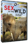 shop_sex-wild_1.jpg