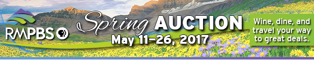 2017-Spring-Auction-Header-640.jpg