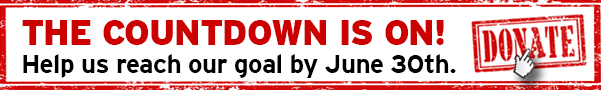 CYE17-Banner-600.jpg