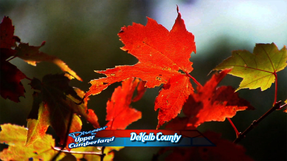 Dekalb County Dekalb County