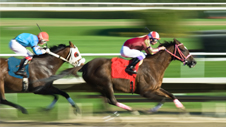 The Track at Saratoga, America's Grandest Race Course