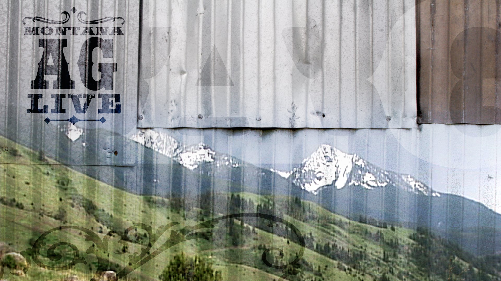 Montana AG Live: Nothing is Sure But Death and Taxes