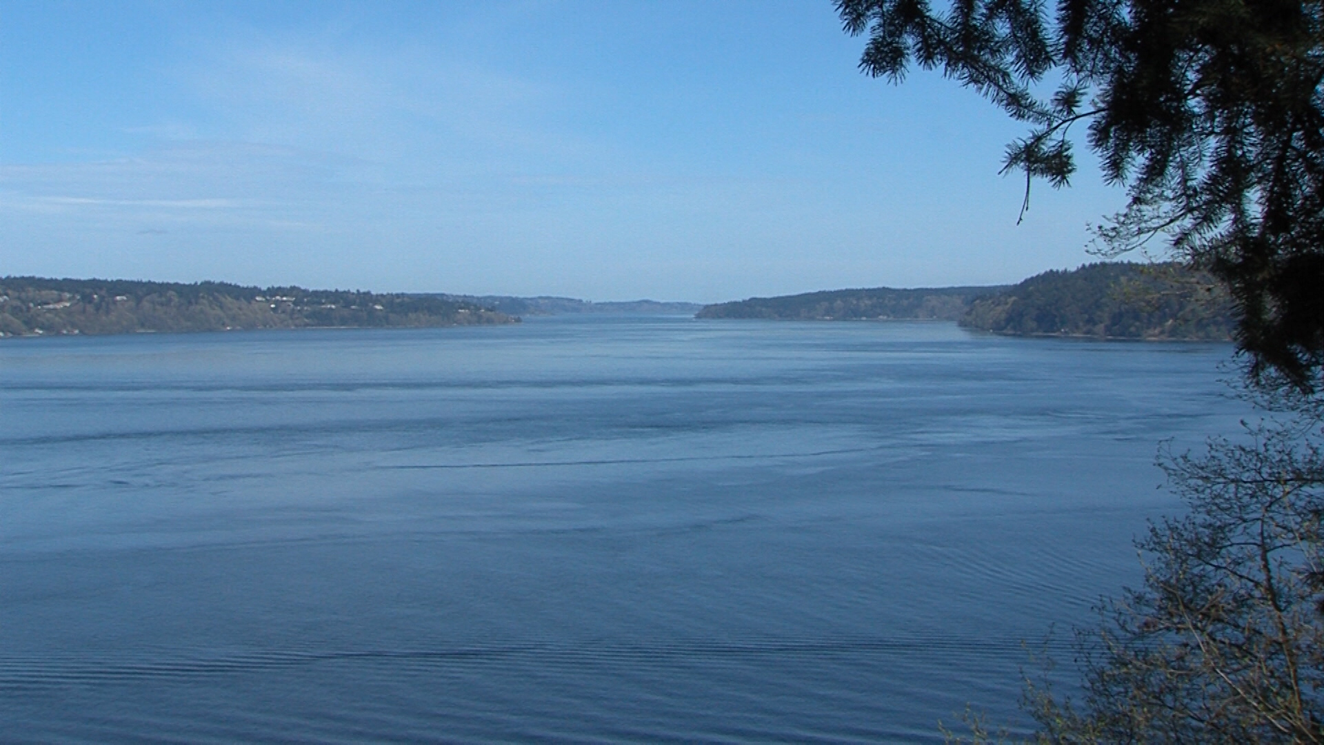 Puget Sound Budget Cuts - June 2, 2017