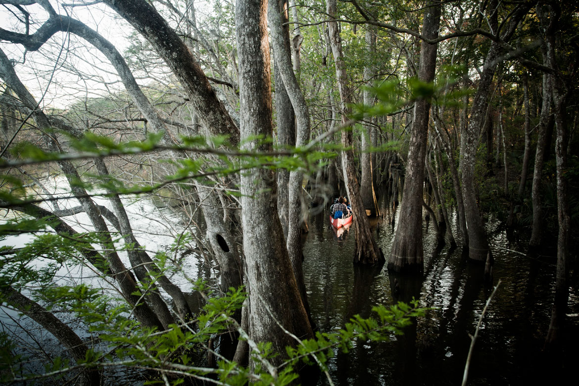 1304_WhoOwns_Apalach_Kendall_499-lores.jpg