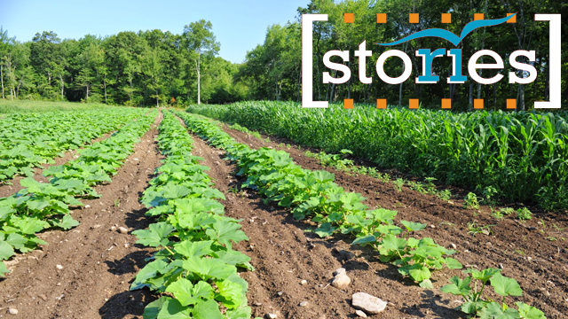 Harvesting Rhode Island