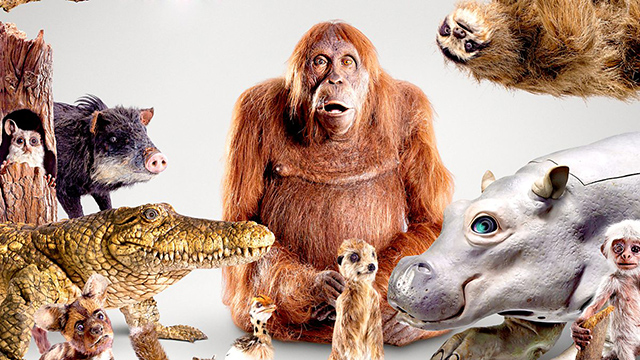 Spy in the Wild: A NATURE mini-series