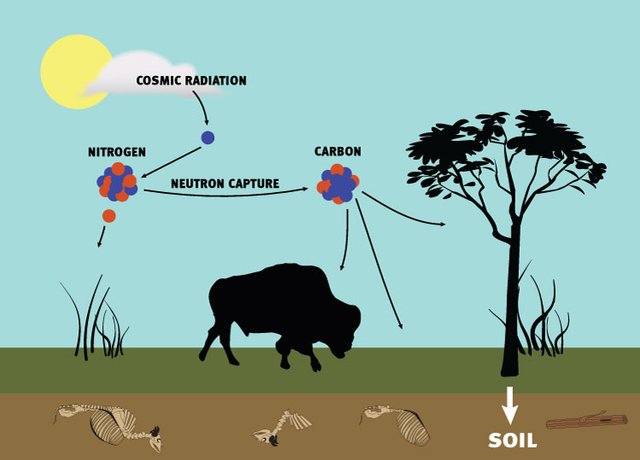 how are isotopes used in archaeology dating How are isotopes used • this method is a useful technique for dating fossils and archaeological scientists use different methods of radiometric dating,. how are isotopes used in archaeology dating How are isotopes used • this method is a useful technique for dating fossils and archaeological scientists use different methods of radiometric dating,.
