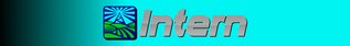 Intern.jpg