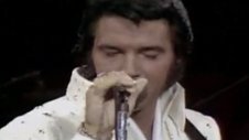 Elvis Lives! The 25th Anniversary Concert