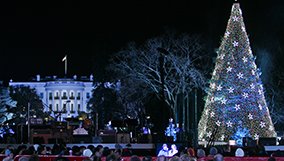 community_blog_christmas-tree-lighting.jpg