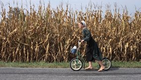 American Experience | The Amish