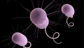 doc_blog_frontline_hunting-nightmare-bacteria.jpg