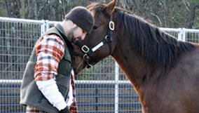 doc_blog_saratoga-warhorse.jpg