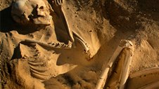 doc_blog_skeletons-of-sahara.jpg