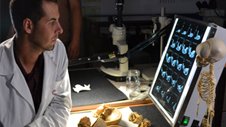 Secrets of the Dead | Cavemen Cold Case