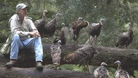 nature_blog_my-life-as-a-turkey.jpg