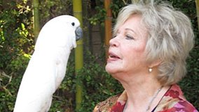 nature_blog_parrot-confidential.jpg