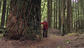 nature_blog_what-plants-talk-about1.jpg