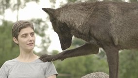 science_blog_nova_animal-minds-whos-the-smartest.jpg