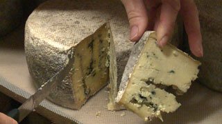 Raw Milk Cheese
