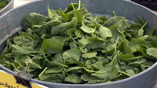spinach