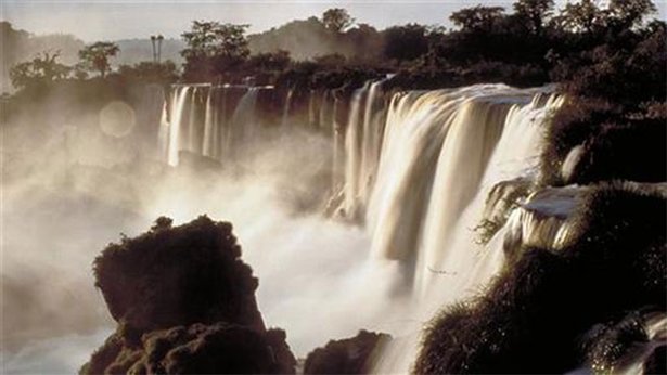 Wild South America