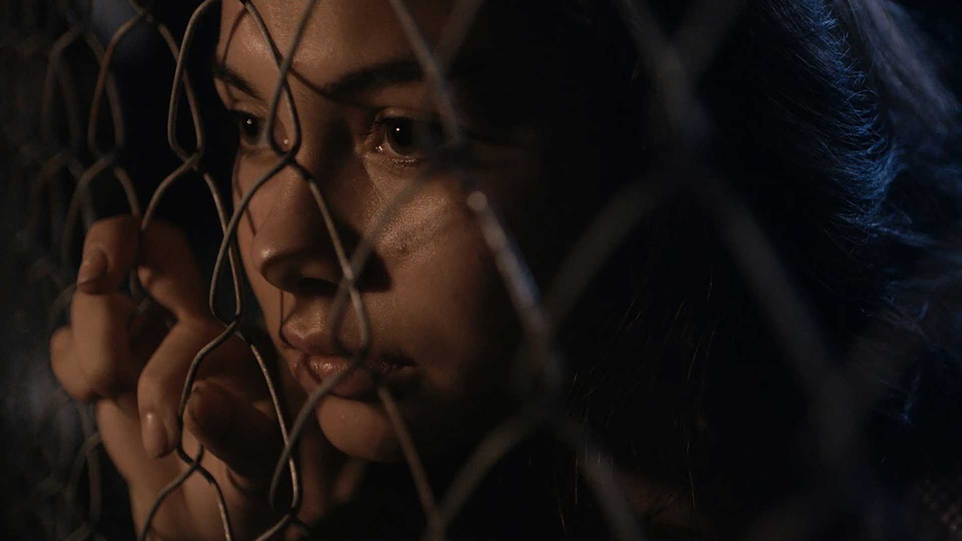 Click to learn more about the Moon and the Night