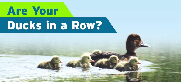 Are Your Ducks in a Row?