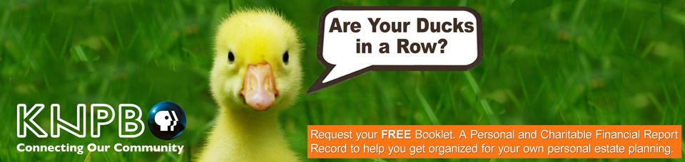 Duck-in-a-row_Web_banner_evergreen.jpg