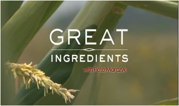 Great Ingredients