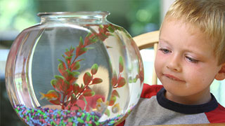 How Caring for Living Things Helps Kids Build Empathy