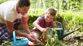 Encourage Budding Scientists