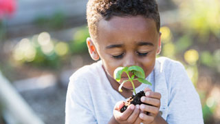 How to Help Your Child Think Like a Scientist