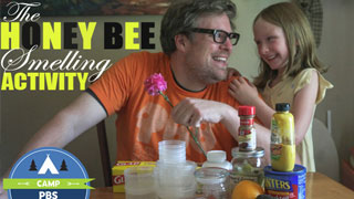 The Honeybee Smelling Activity