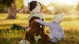 Talking with Preschoolers About the Death of a Pet