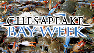Chesapeake Bay Week Preview