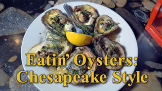 Eatin' Oysters: Chesapeake Style!