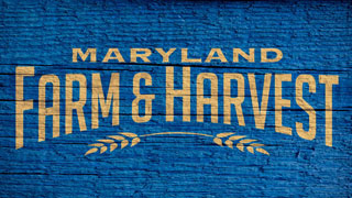 Maryland Farm & Harvest, Season 6