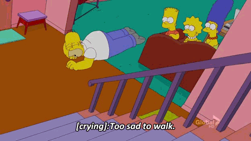 meme 1.gif