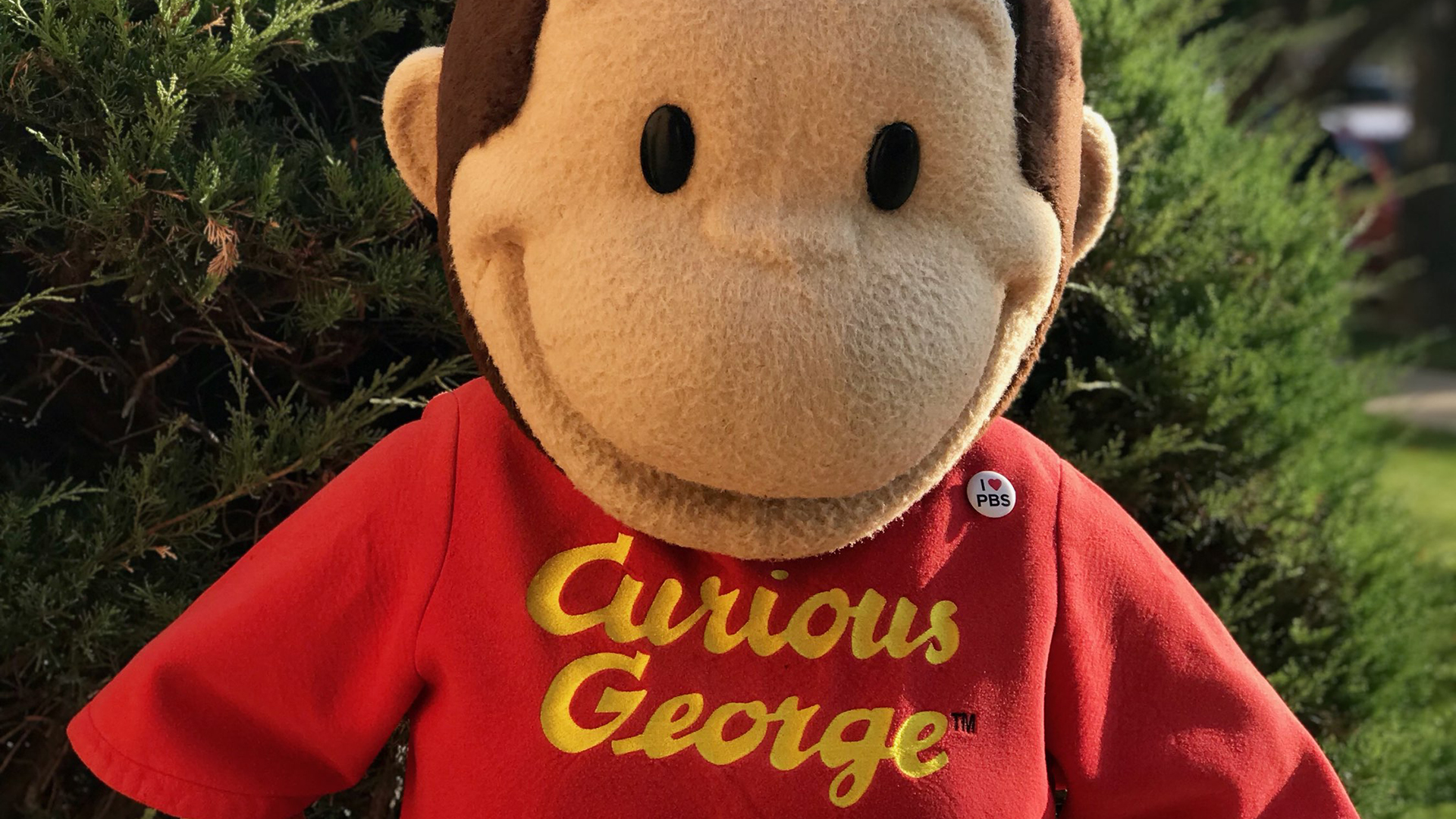 Play Here's Activity Roundup for June 14 to 21, with JuneFest, Curious George, Susan Gibson, Summer Celebration, more