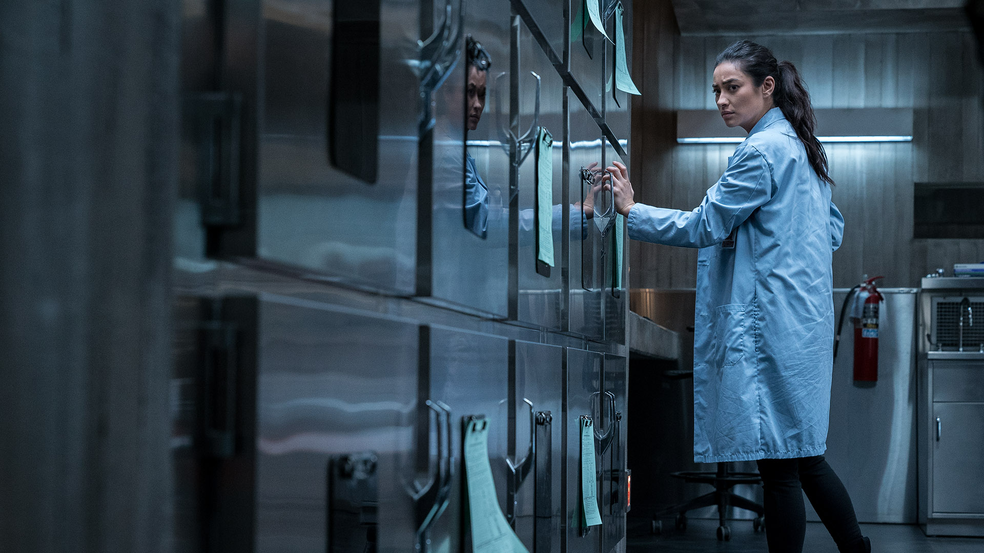 Movie Watch: Amarillo film options for Nov. 29 to Dec. 6, with 'Colette,' 'Possession of Hannah Grace,' more