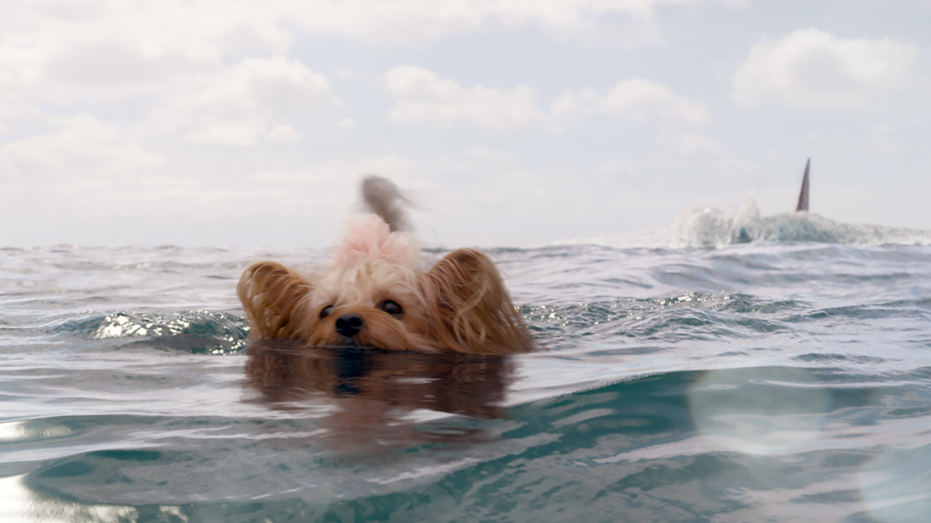 Movie Watch: Amarillo film options for Aug. 9 to 16, with 'The Meg,' 'BlacKkKlansman,' 'Crazy Rich Asians,' more