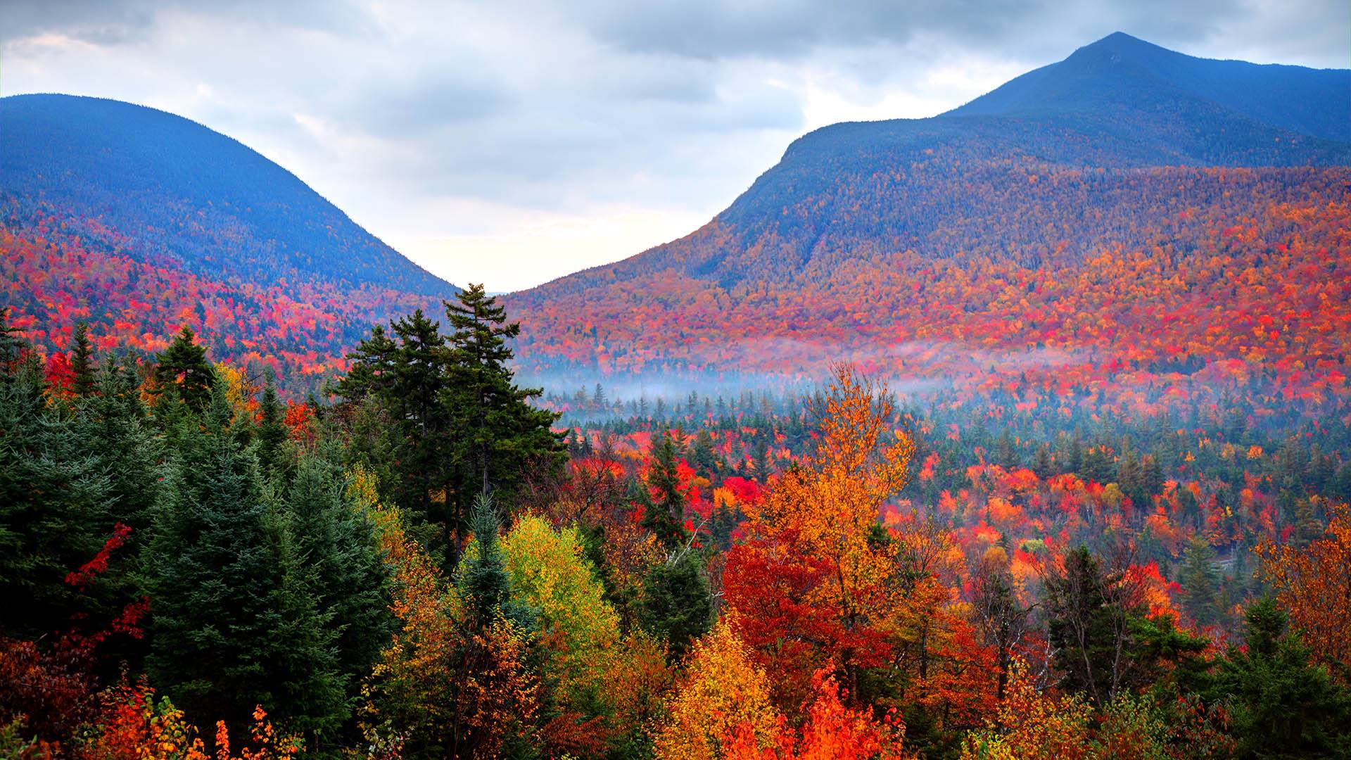 Enjoy the changing of the seasons with 'Autumnwatch — New England'