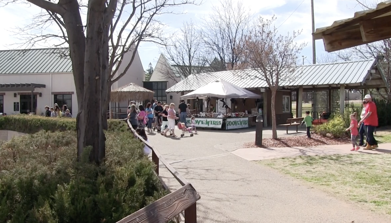 Treat Dad with a free visit to Amarillo Zoo